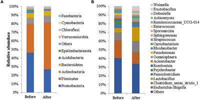 Gut Microbiome Differences in Rescued Common Kestrels (Falco tinnunculus) Before and After <mark class="highlighted">Captivity</mark>